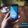 What Is Burner Phone
