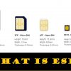 What is eSIM