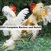 Wpc 2025