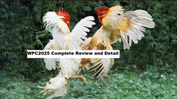 Wpc 2025