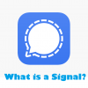 What is a Signal